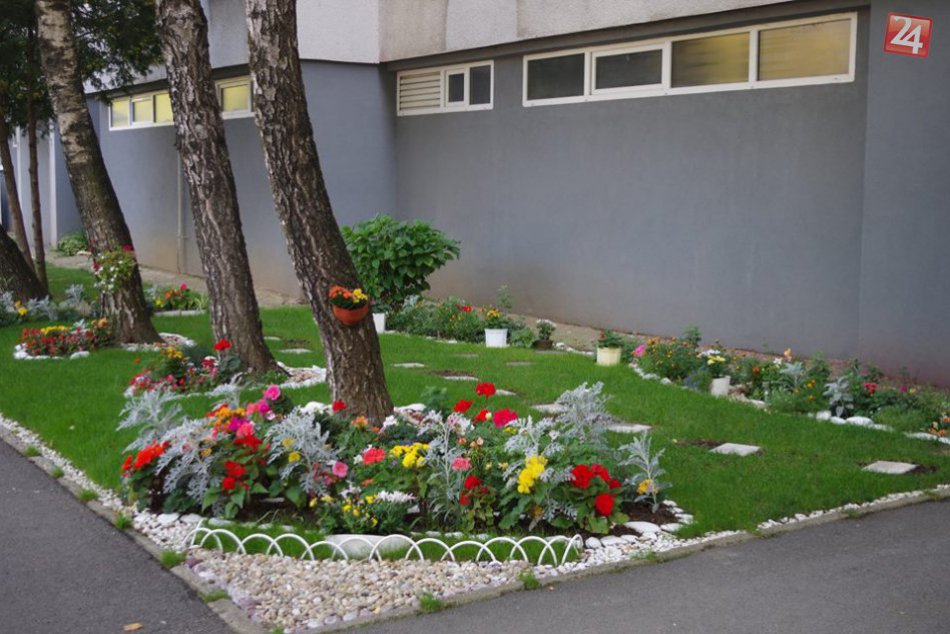 To je nádhera: Takéto krásne predzáhradky môžete vidieť v Michalovciach