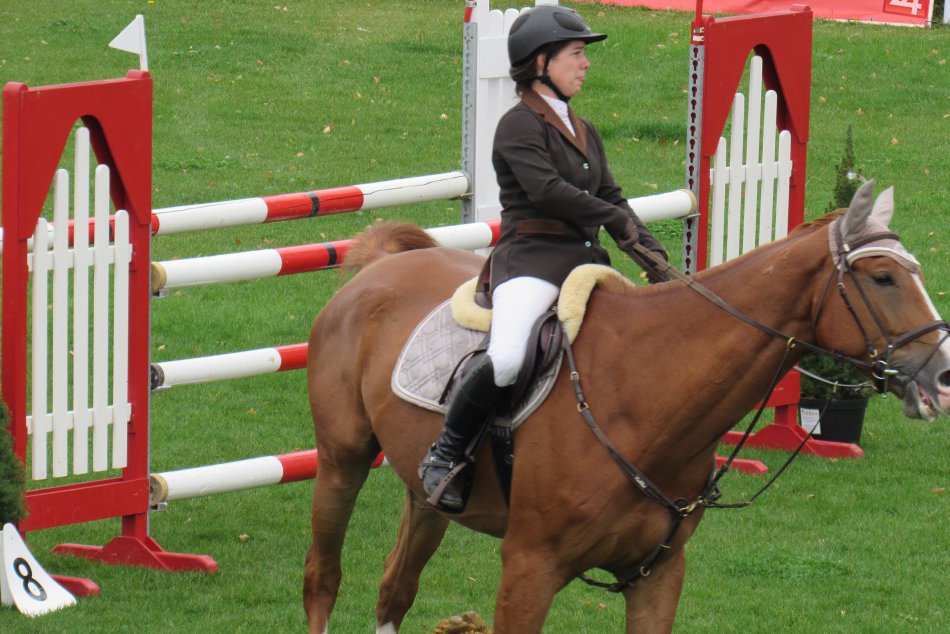Zachytené objektívom: V Jazdeckom areáli si zmerali sily jazdci a krásne kone
