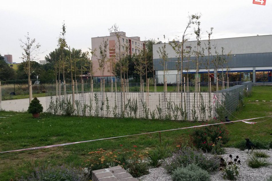 Park Mamateyova, september 2017