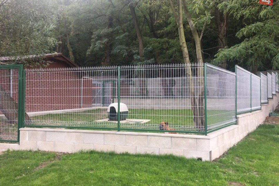 Novinky v Slobode zvierat