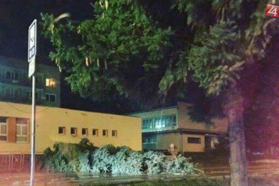 Uzavretá cesta v centre Považskej: Spôsobil to padnutý strom