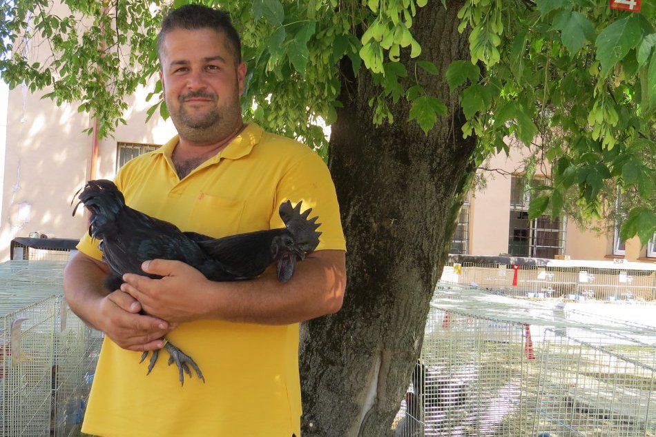 Ján zo Sliepkoviec má hobby chovanie zvierat. Môže sa pochváliť i so pštrosmi!