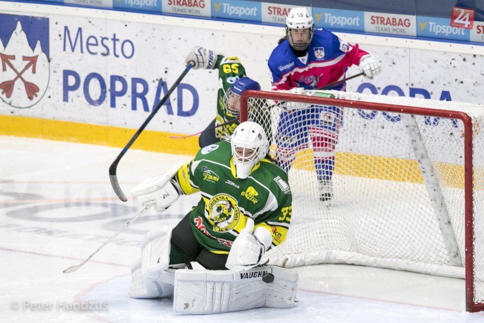 Popradské líšky - ŽHK 2000 - ŠARIŠANKA Prešov