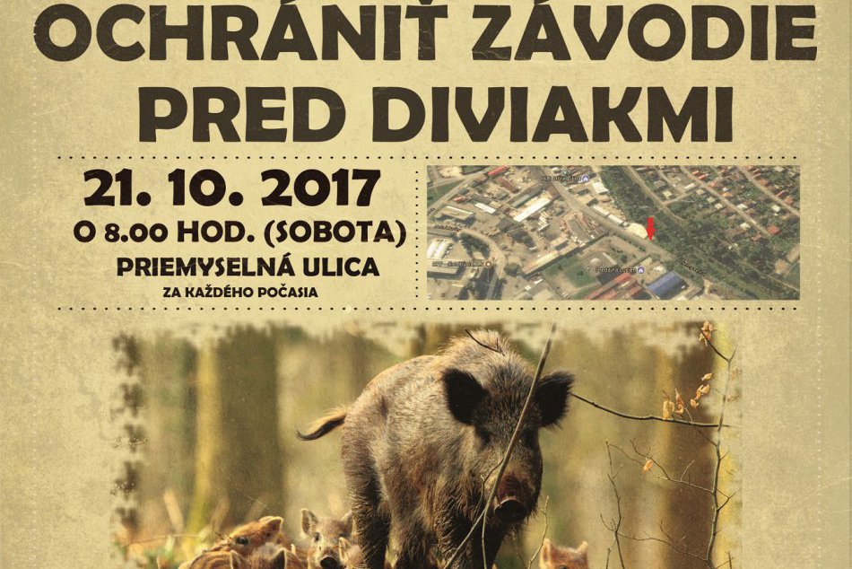 Brigáda na prevenciu proti diviačej zveri