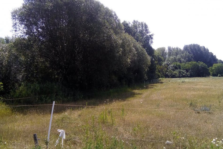 FOTO: Predstavujeme vám Trnovecké mŕtve rameno: Obľúbené miesto trsteniarikov