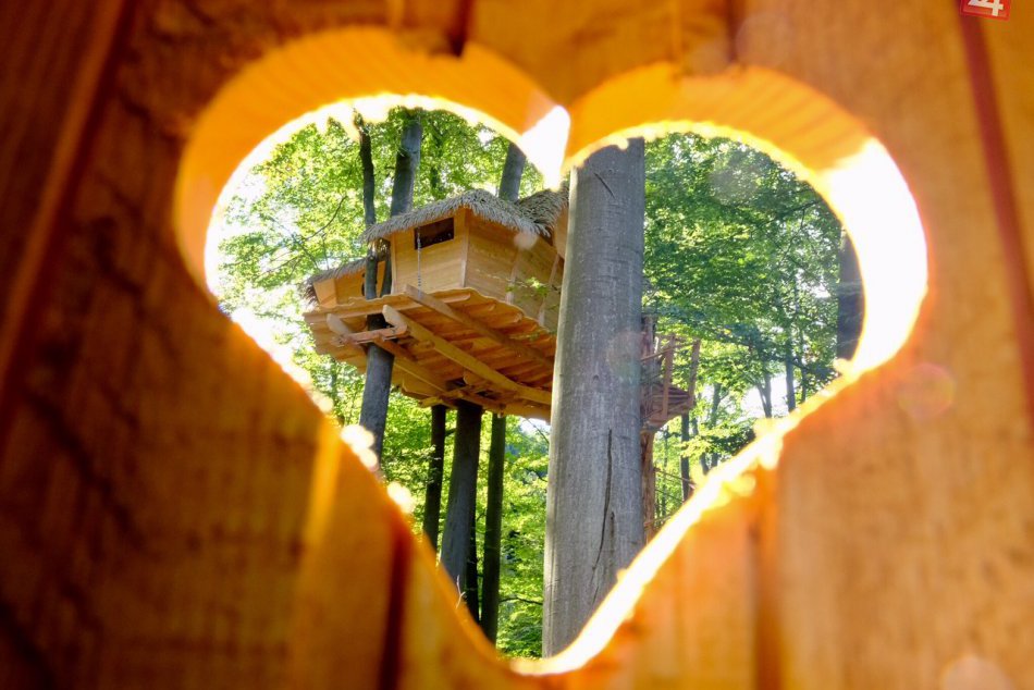 Domčeky v korunách stromov