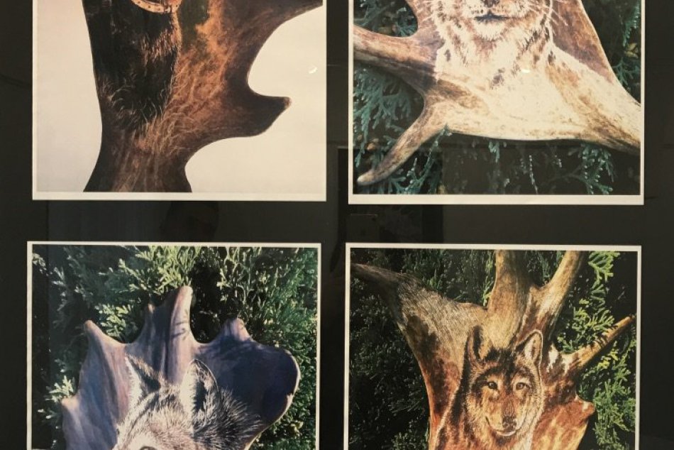 Príroda očami Mareka Zimku