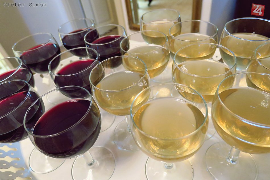 Obrazom: Vernisáž výstavy najlepších výtvarných prác - Výtvarné spektrum (GOS)