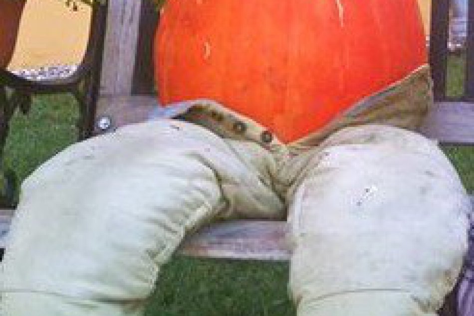 Originálna jesenná výzdoba na Zemplíne: Takýto pár sa len tak nevidí, FOTO