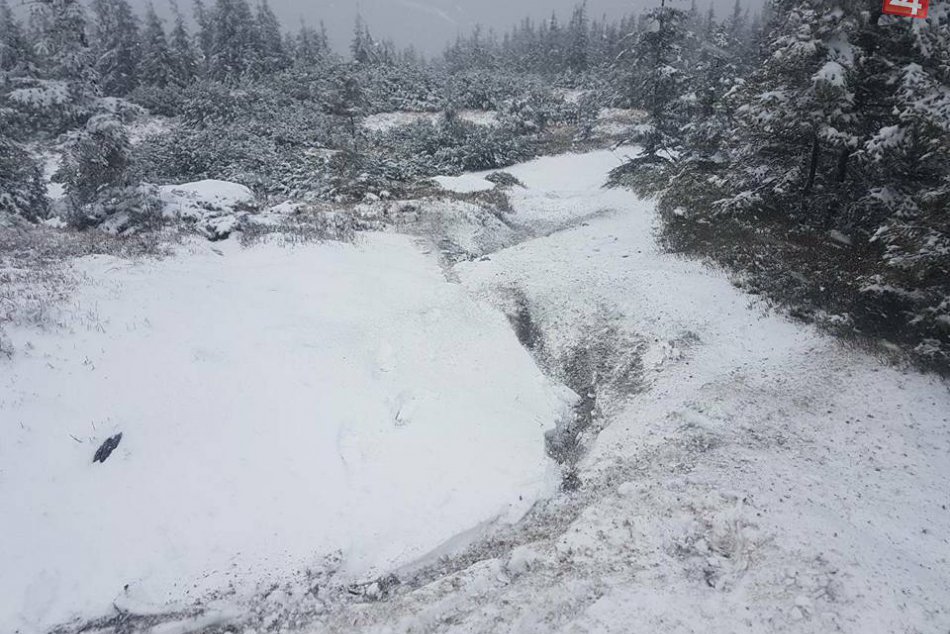 Obrazom: Volovec je už biely