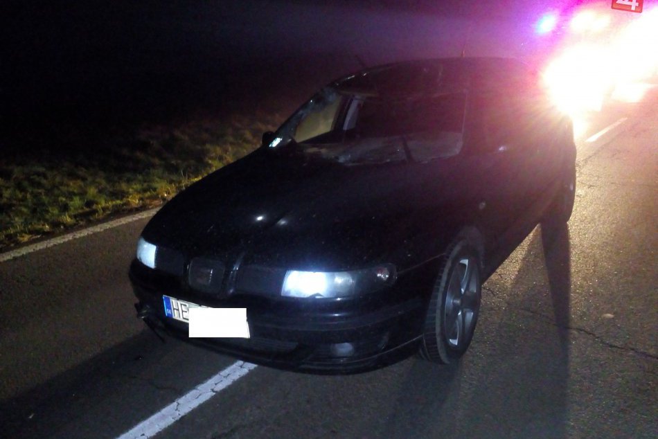 Zrazená jelenica 11/2017