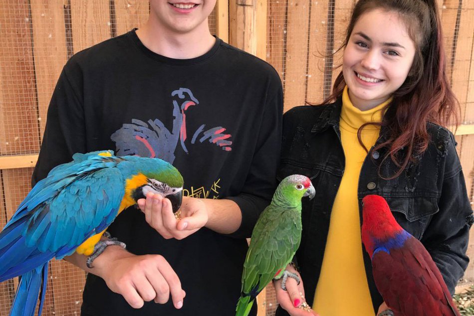 Spojená škola Dominika Tatarku - exkurzia 11/2017