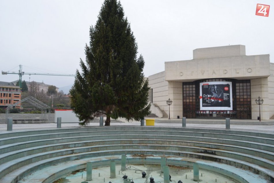 FOTO: Vianočný stromček už zdobí nitrianske námestie