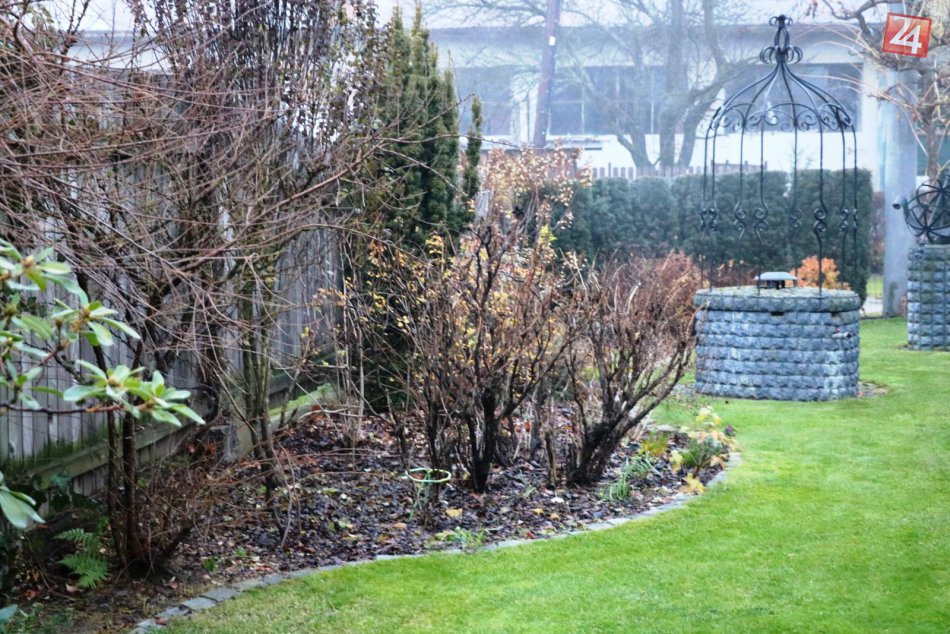 To je nádhera: Pozrite si v obrazoch víťazné predzáhradky z Prešova