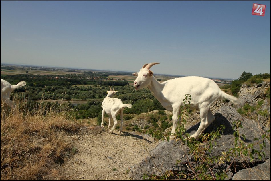 Darujte dobrý skutok