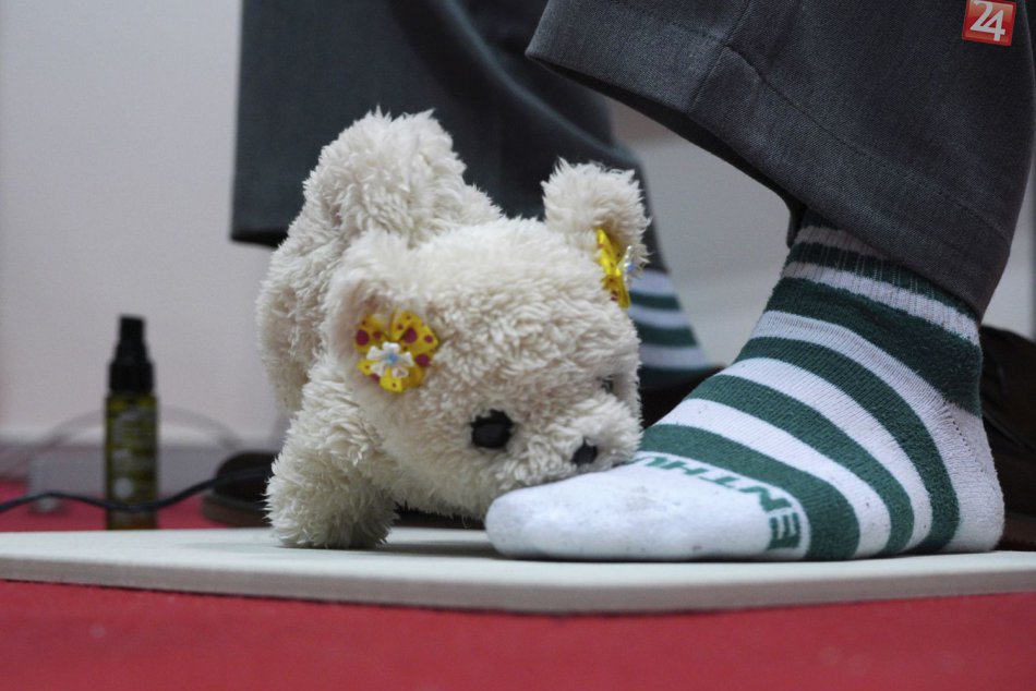 Medzinárodná výstava robotov ukázala fantastické novinky