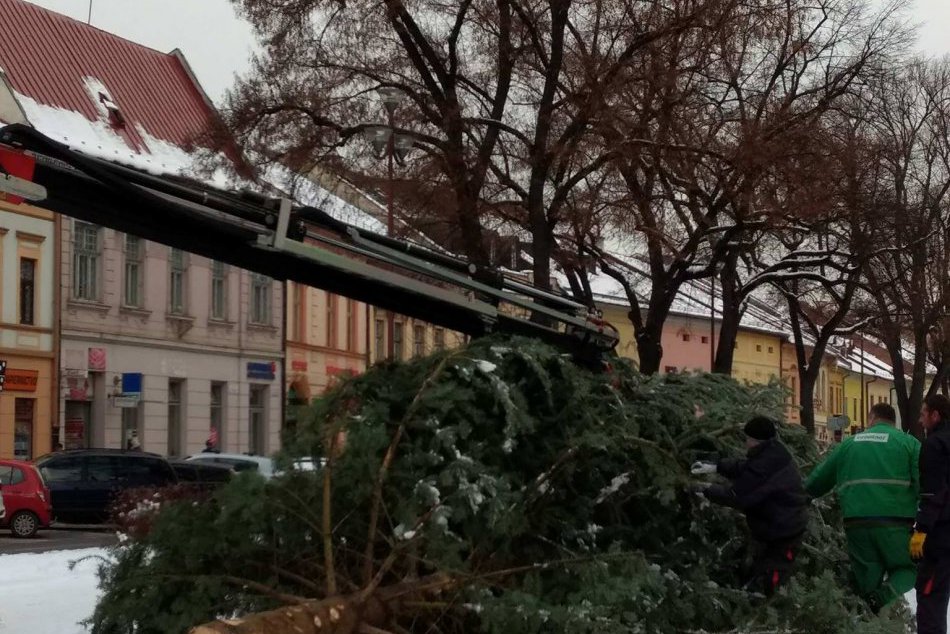 Toto je nový vianočný stromček Spišskej: Naše oči teší 12-metrová jedľa
