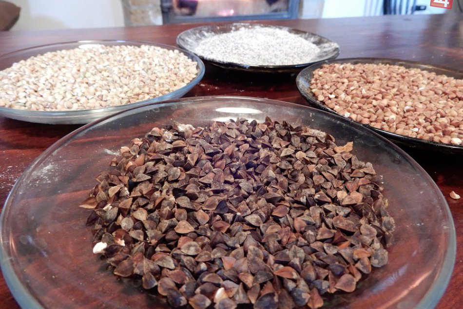 FOTO: Jozef z nášho regiónu sa už 20 rokov venuje pestovaniu pohánky