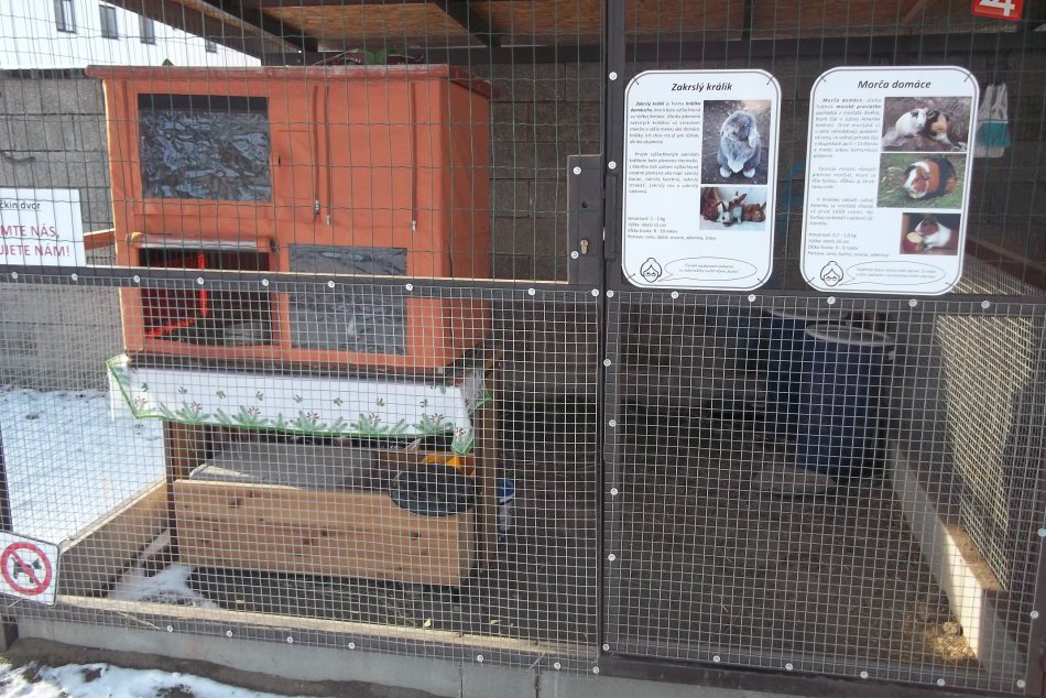 FOTO: Zvieratkám sa vo dvore páči, obľúbili si ho aj mačičky