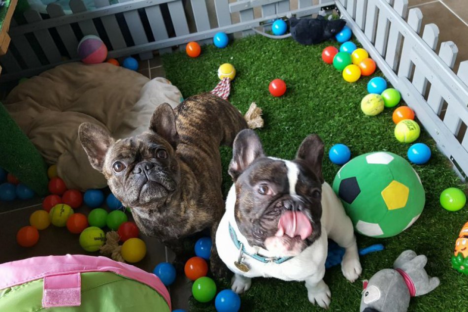 HAF.park denná škôlka