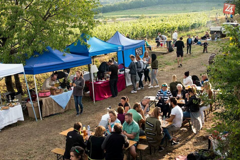 Pezinské vínne pivnice