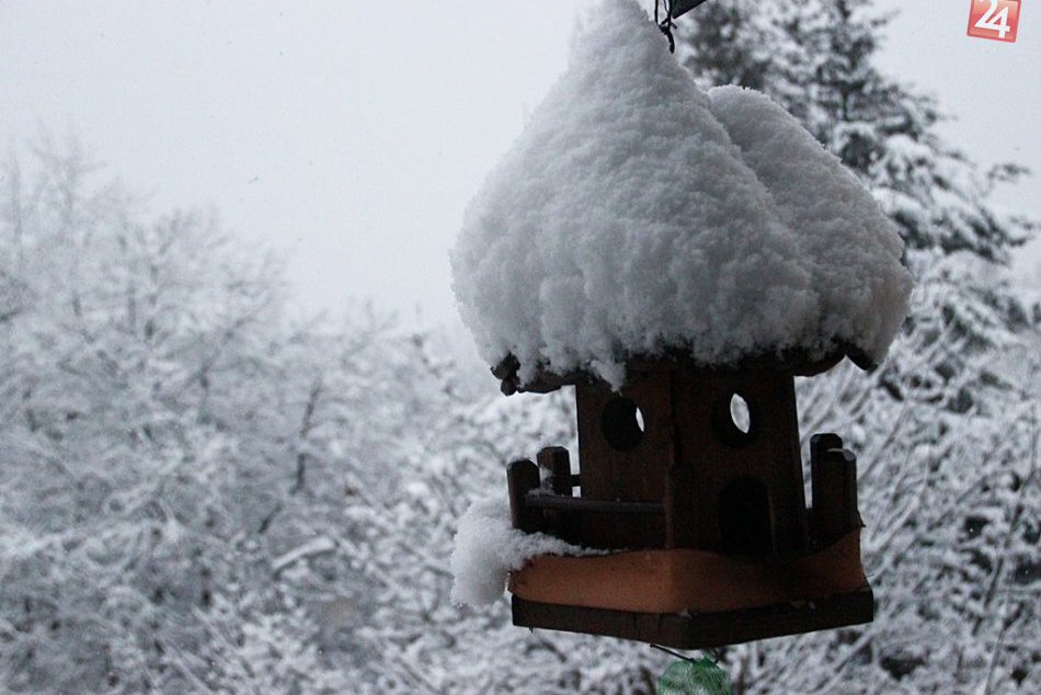 Obrazom: Sneženie v Rožňave a okolí spôsobilo problémy