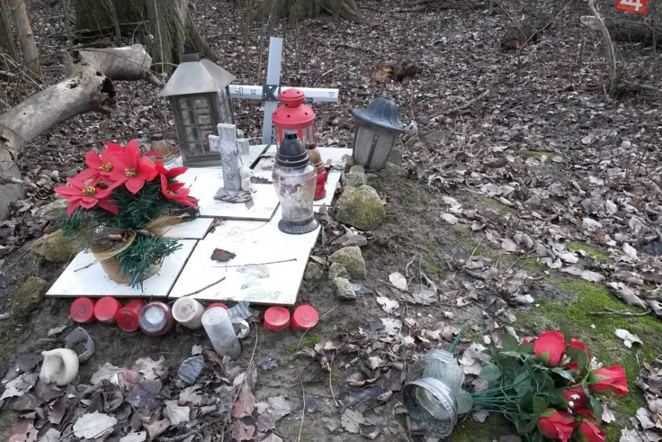 Psie hroby v Petržalke