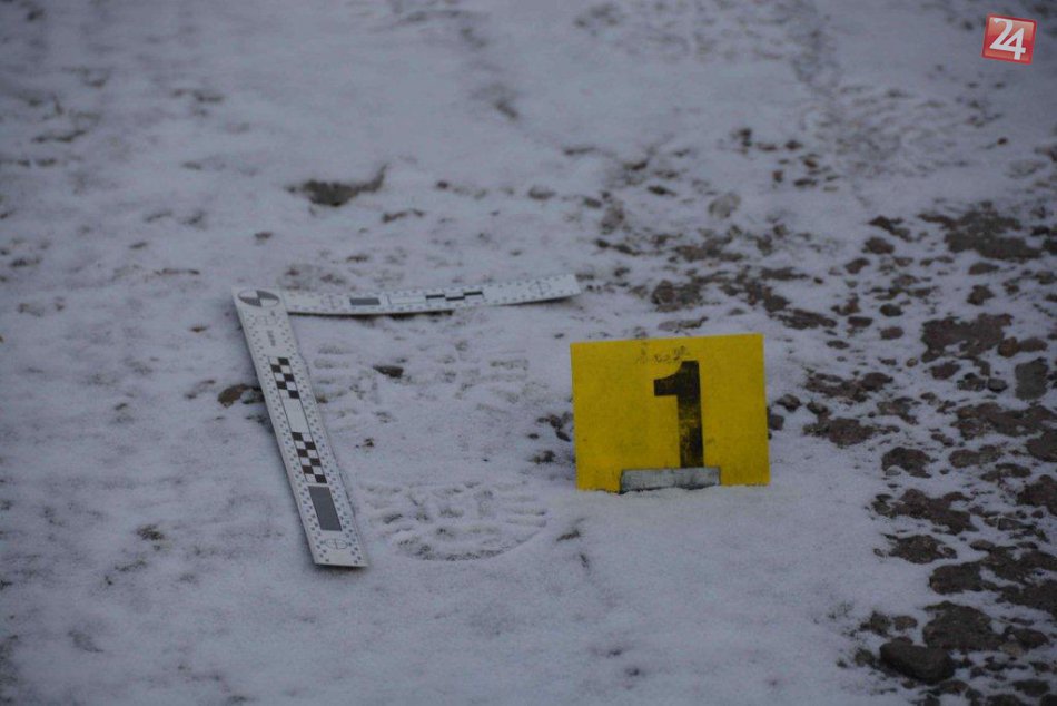 V OBRAZOCH: Zvolenskí policajti chytili zlodejov s káričkou plnou mäsa