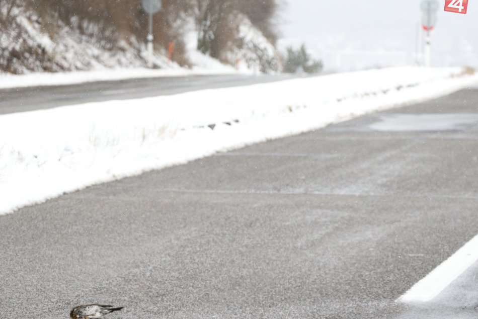 Vodičov prosia o zvýšenú opatrnosť na cestách pri Šírave