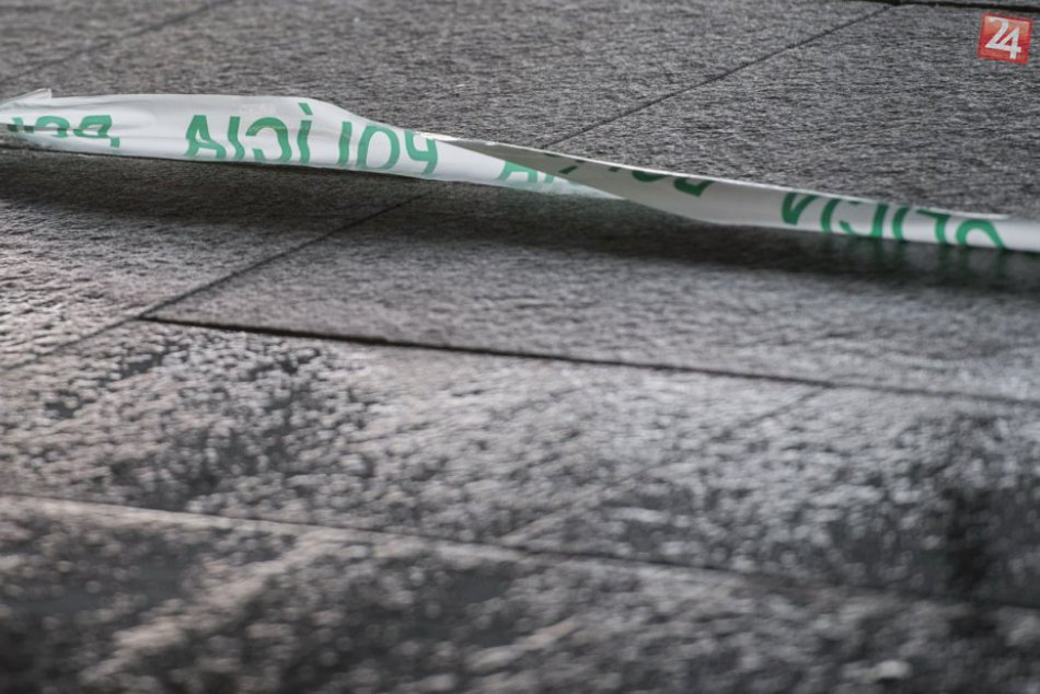 Vstup do budovy NR SR uzavreli: Aktivista tam vysypal biely prášok