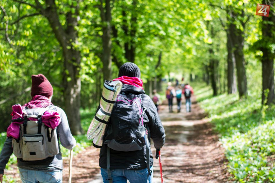 OBRAZOM: Púť na Katarínku. Minuloročné putovanie lesmi