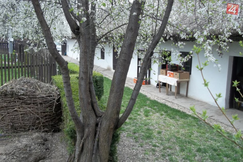 Alžbeta Kunová šperkami žije: Kamene jej dodávajú radosť i energiu, FOTO