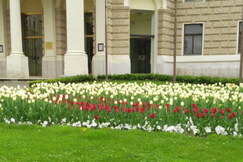 Rozkvitnuté Staré Mesto