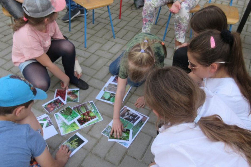 V OBRAZOCH: Environmentálna výchova v ŠKD pri ZŠ Hviezdoslavova