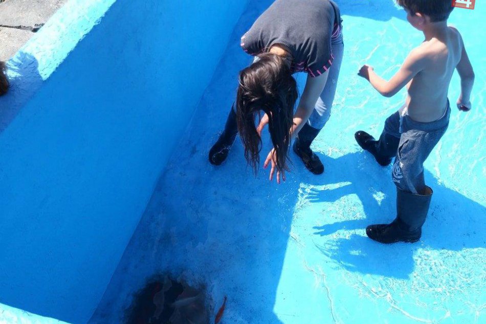 Večianska nádrž pri studni je vyčistená: Rybky potešili aj okoloidúcich, FOTO