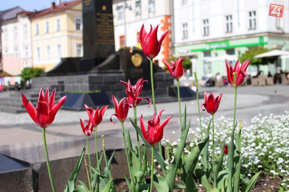 V OBRAZOCH: Bystrica rozkvitla do krásy