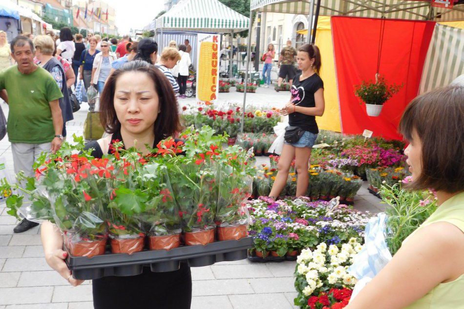OBRAZOM: Takáto farebná krása láka Trnavčanov počas Májového kvetu