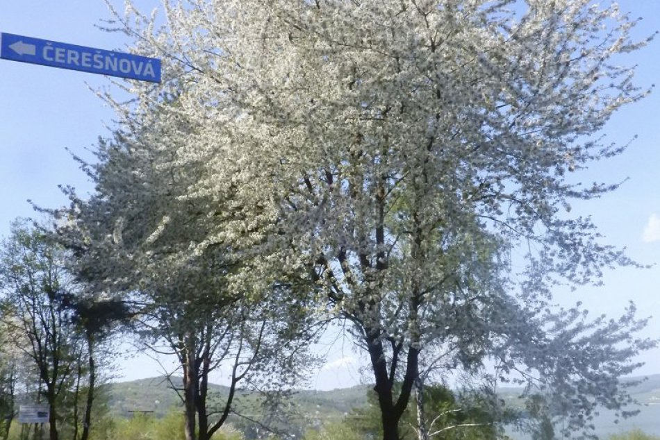 Viete, ako vznikali názvy ulíc na Domaši? Dočítate sa v článku...