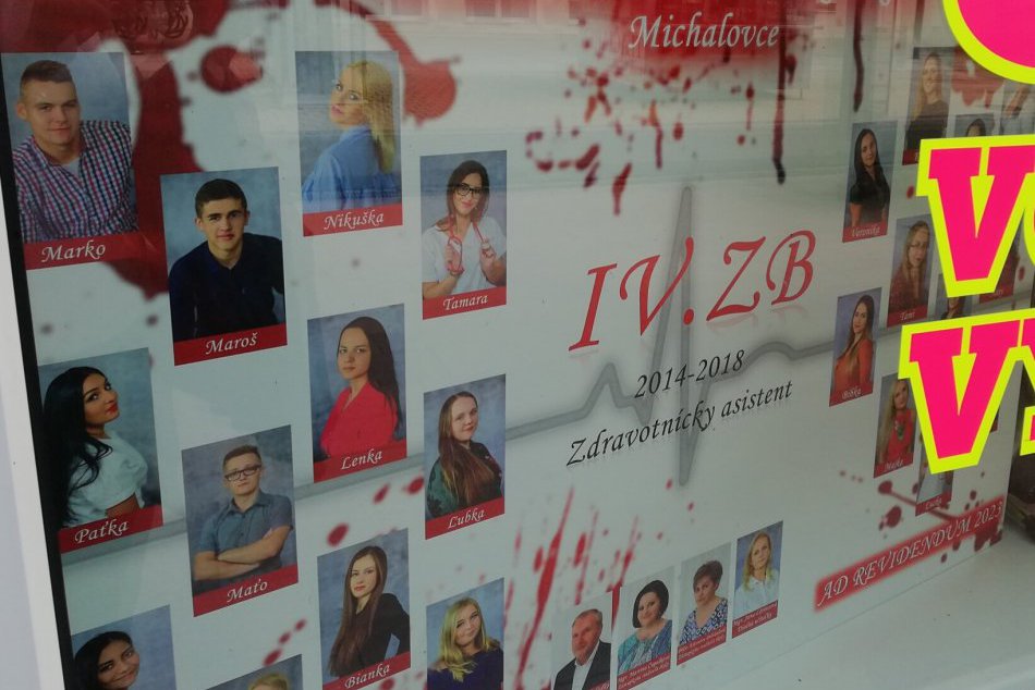 GALÉRIA: Čitatelia rozhodli. Tieto 3 tablá z Michaloviec sú tie naj!