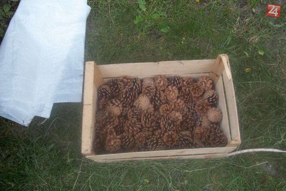 V historickom dome majú retro: Výstava hračiek s obdivnými výkrikmi, FOTO