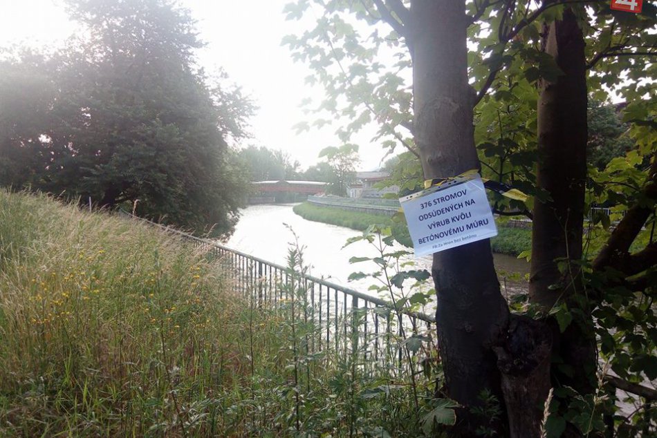 V OBRAZOCH: Na stromoch pri Hrone pribudli pásky a nápisy