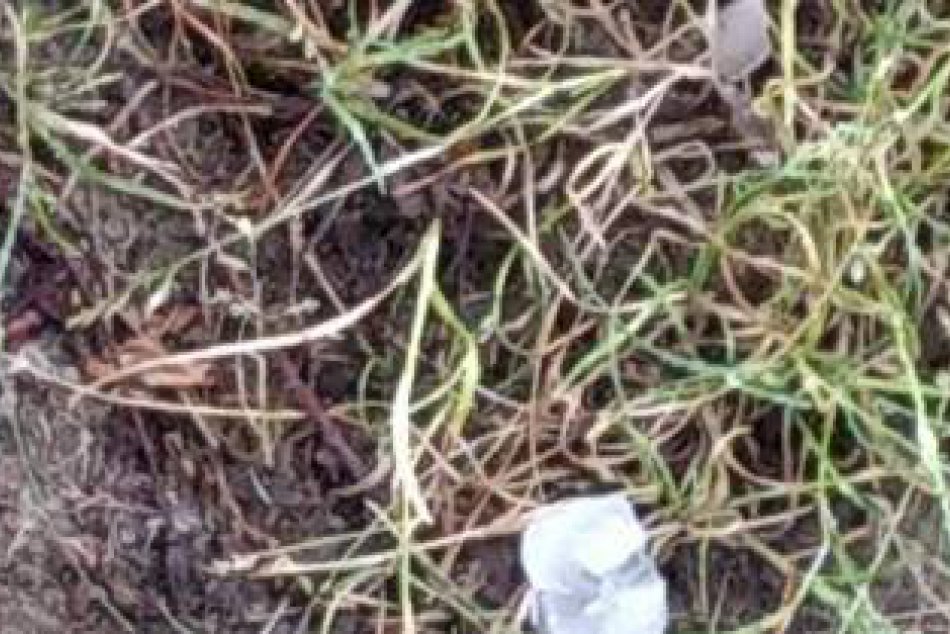 V OBRAZOCH: Východným Slovenskom sa prehnala supercela!