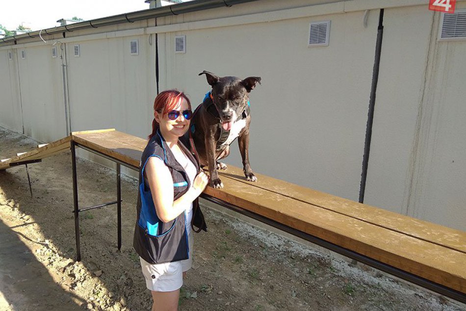 Psí park Hradná, Nové Zámky