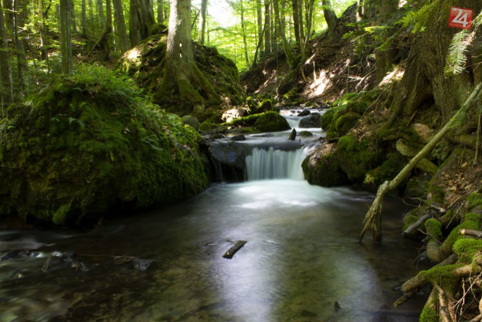 V OBRAZOCH: Malachovská tiesňava, prírodný klenot pri Bystrici