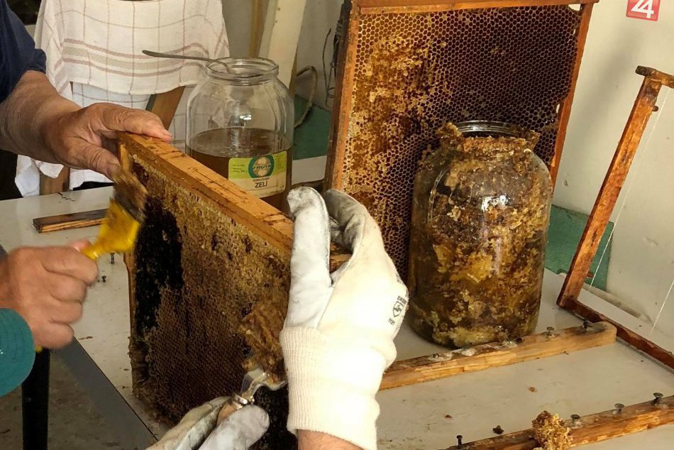 OBRAZOM: Michalovčan sa môže pochváliť vlastným tekutým zlatom