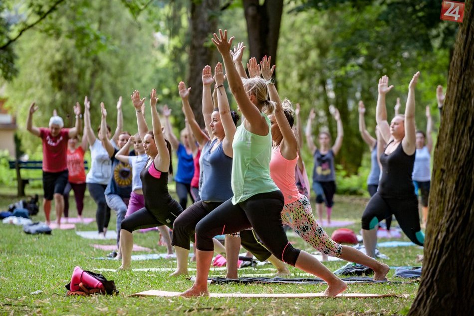 Kam v Bratislave zadarmo