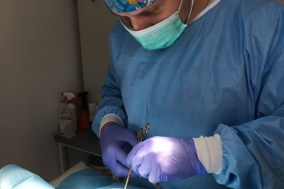 Poskytol rady pre psíčkarov: Prešovský veterinár Dušan Harbáč