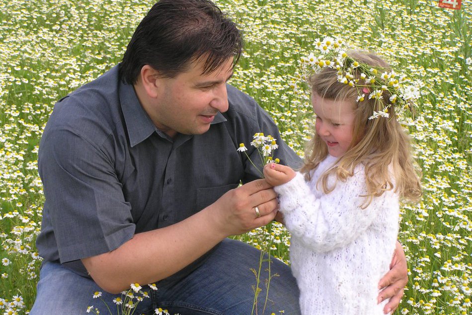 Vedci z Prešovskej univerzity: Vyšľachtili novú odrodu rumančeka kamilkového