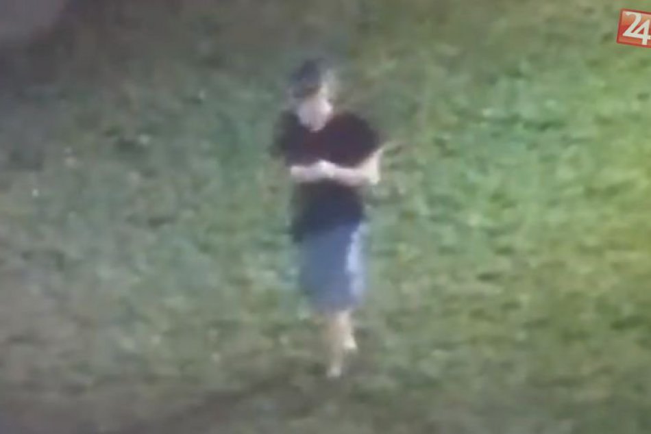 V OBRAZOCH: V parku došlo k ozbrojenému prepadu. Nepoznáte týchto mladíkov?