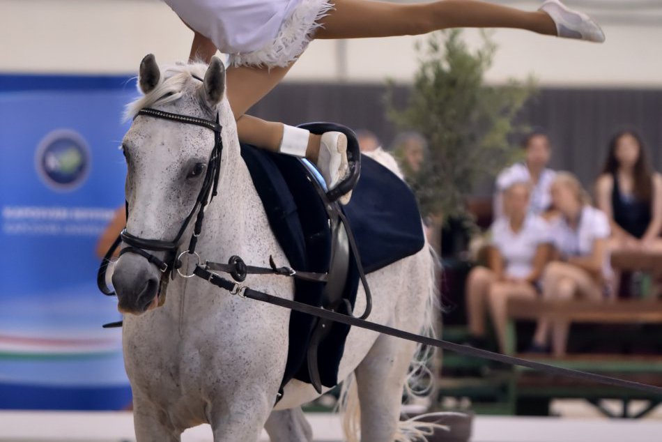FOTO, Mladé jazdkyne s koňom Plutom excelovali na európskom podujatí